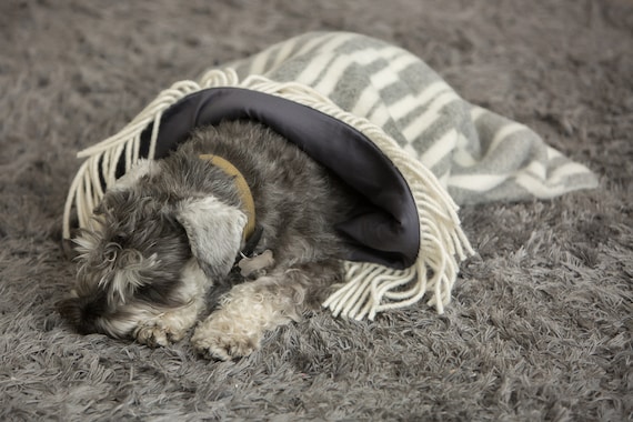 Sheep Wool Snuggle Bed for Dog Travel Burrow Bed for Puppy Dog Snuggle Sack Dog Blanket Warm Mat Sleeping Bag for Pet Christmas Gift for Dog Etsy Canada