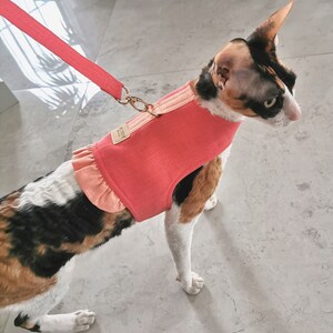 Bright coral cat harness vest with ruffles woll padded inside with leash, Linen cat walking harness vest image 2