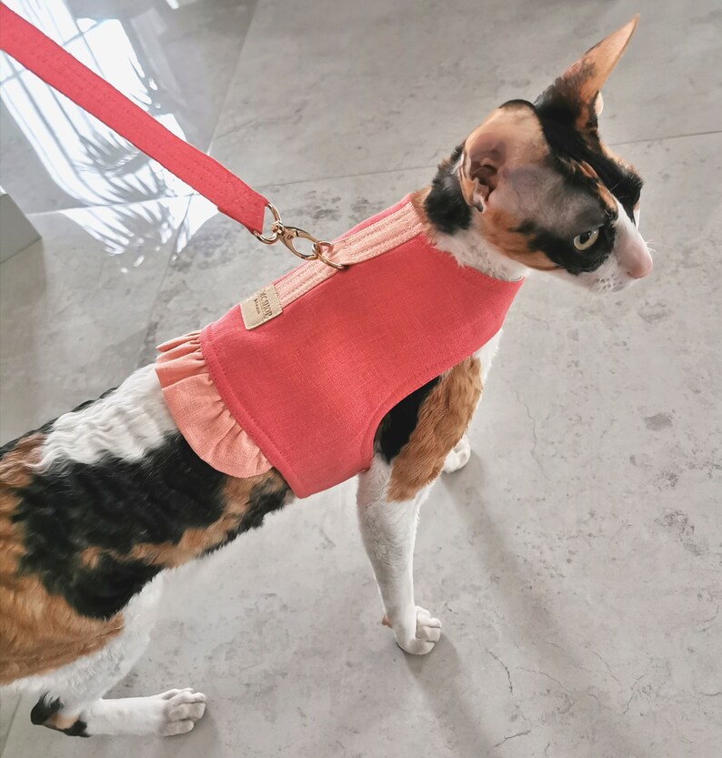 Bright coral cat harness vest with ruffles woll padded inside with leash, Linen cat walking harness vest image 2