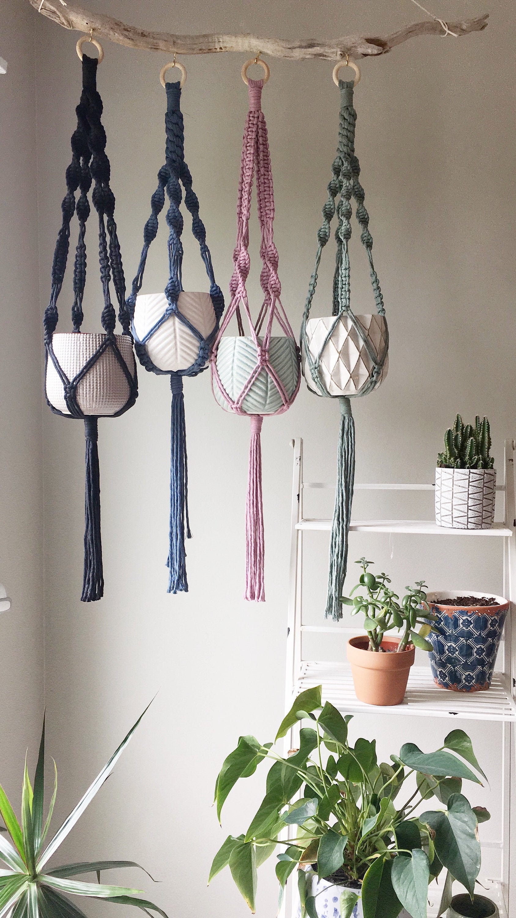 Macrame Plant Hanger