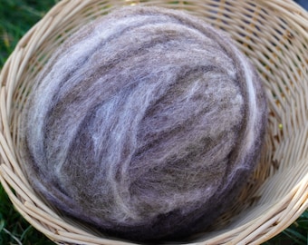 Natural CVM Silk (15%) Roving