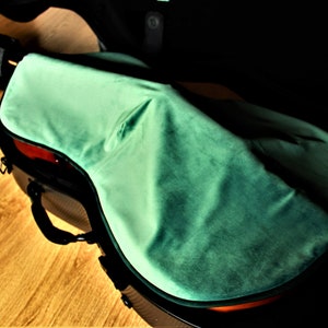 Pode incluir: Uma caixa rígida preta com um interior de veludo verde para um violoncelo.