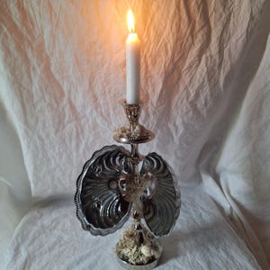 May include: A silver candlestick with a white candle lit, decorated with seashells and moss. The candlestick is made of two large seashells that are hinged together.
