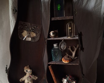 cabinet curiosité- collections dans boite à violon en bois