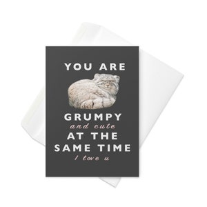 Chat de Pallas Grincheux et Romantique Carte de vœux / Sarcastique et Drôle