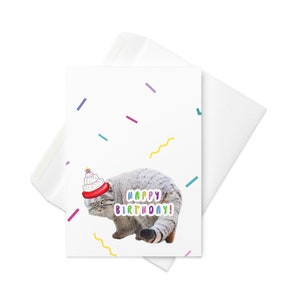 Chat de Pallas grognon / Carte de voeux d'anniversaire / Carte ironique et amusante