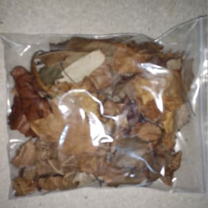 May include: A clear plastic bag filled with a variety of dried brown leaves.