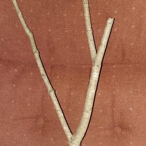 18 - 20 inches tall thinner mulit climbing beanch