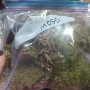 May include: A clear plastic bag filled with green moss. The bag has a white label with the word "MOSS" written in black marker.