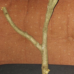 1 - short multiple  climbing  piece, maple
