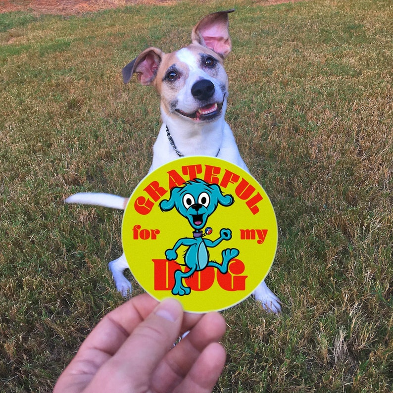 Grateful Dead Inspired Sticker Blue Dancing Dog, Grateful For My Dog image 5