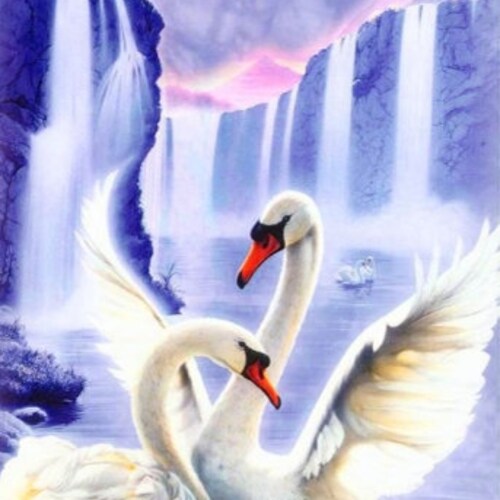 Diamond painting kit Pair of Swans, Mosaic Diamonds, Square shops Diamond Full Cover, DIY 3d diamond painting, White Swans Diamond Embroidery