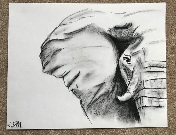 éléphant Du Charbon De Bois Dessin