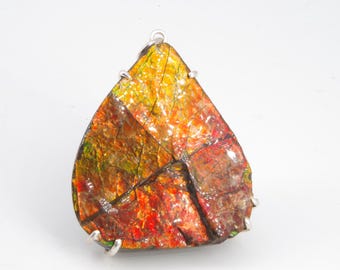 Colgante de plata de ammolita canadiense