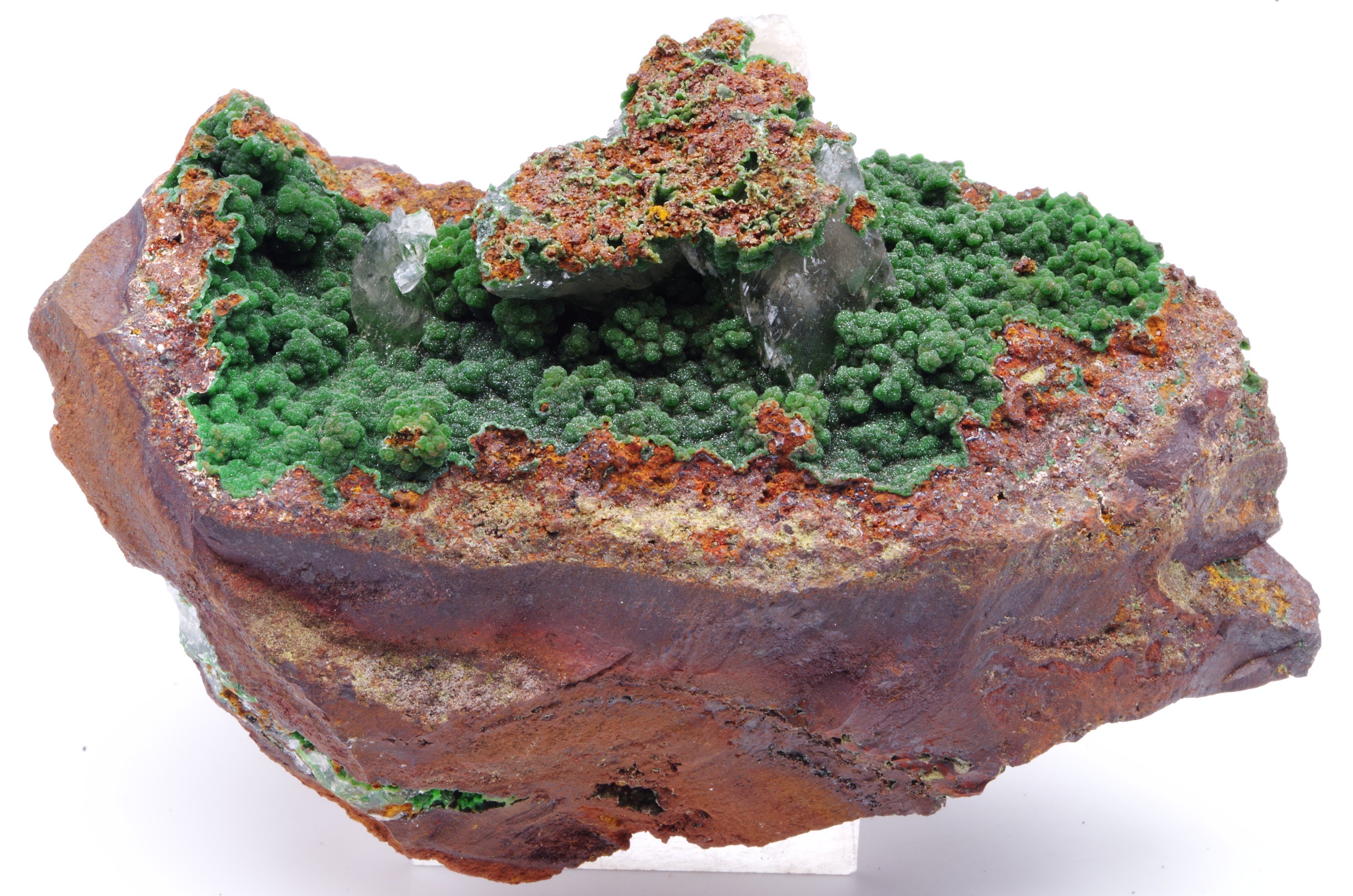 Conichalcite La Ojuela Mexique 8x5x3.5cm 168G