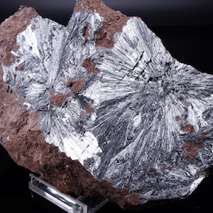 May include: A close-up of a rock with a silver, crystalline mineral formation. The mineral has a feathery, radiating pattern.