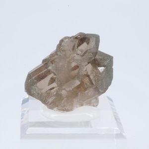 May include: A cluster of smoky quartz crystals on a clear acrylic display stand. The crystals are a light brown color and have a translucent appearance.