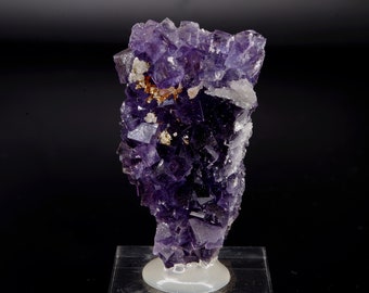 FLUORITE, Chalcopyrite Saint Péray, Ardèche, France 3x1.2x5cm 28g