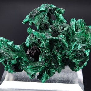 Fibrous MALACHITE / star mine Katanga, CONGO 7.8x5.5x3.4cm 123g