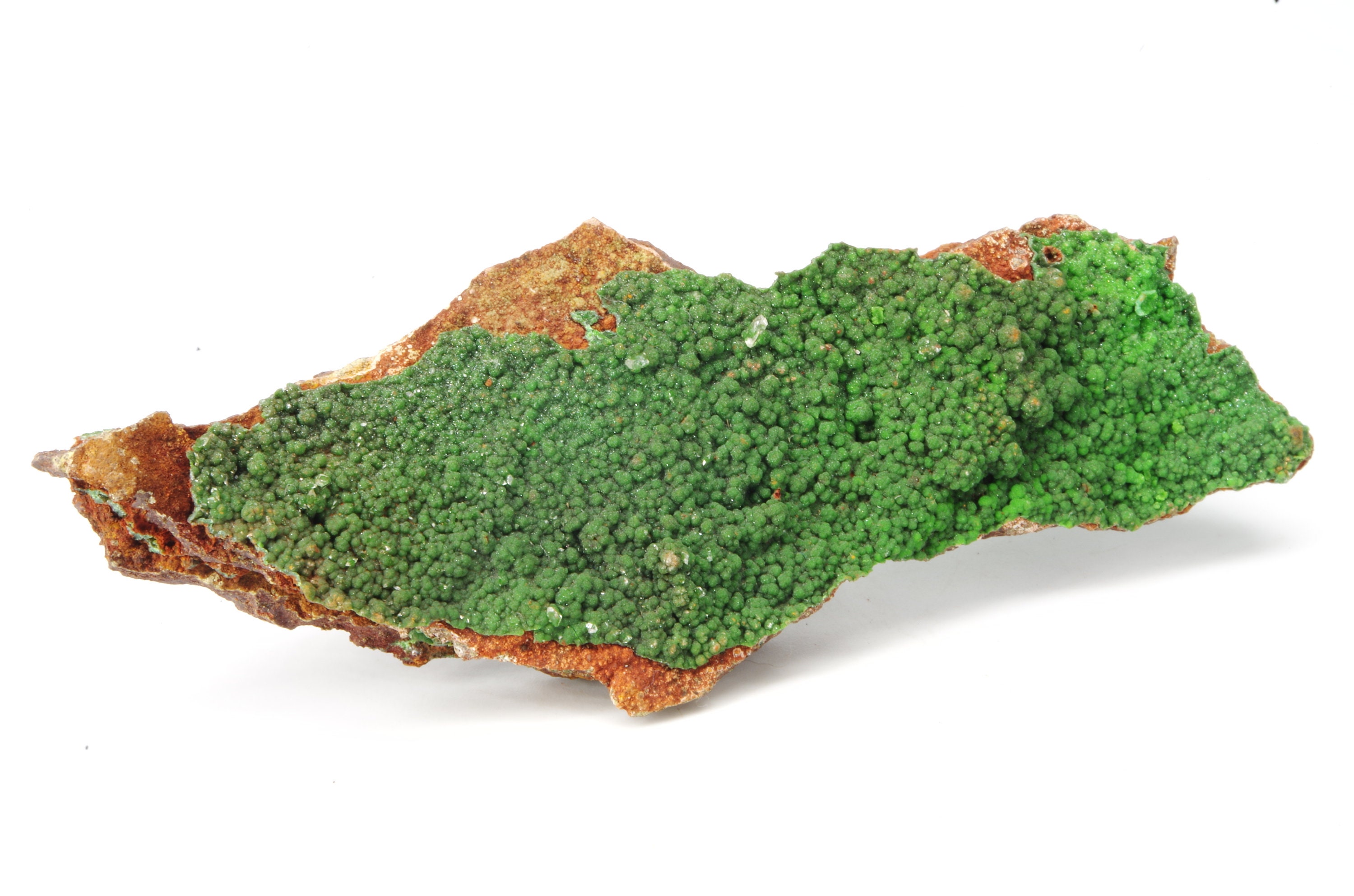 Conichalcite La Ojuela Mexique 10.1x3.7x1cm 57G