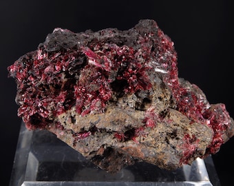 May include: A close-up of a red and black mineral specimen. The mineral is a cluster of small, red crystals on a black matrix. The crystals are shiny and have a metallic luster.