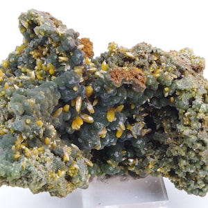 Op de afbeelding: Een cluster van groene en gele mineraalmonsters. Het groene mineraal is botryoïdaal, wat betekent dat het een afgeronde, druifachtige vorm heeft. Het gele mineraal is in de vorm van kleine, scherpe kristallen.