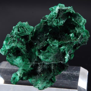 Fibrous MALACHITE / star mine Katanga, CONGO 5.2x4x3.4cm 34g