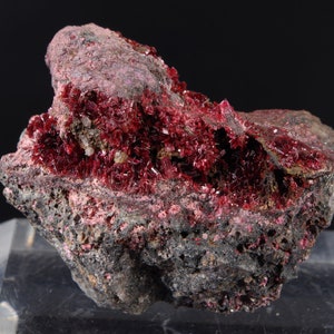 Może przedstawiać: Naturalny okaz minerału z ciemnoszarą i różową matrycą skalną. Skała pokryta jest żywymi, głęboko czerwonymi formacjami krystalicznymi. Kryształy są zgrupowane, tworząc uderzający kontrast z ciemniejszą skałą.