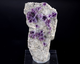 FLUORITE Chalcopyrite Saint Péray, Ardèche, France 3x2.5x5cm 41g