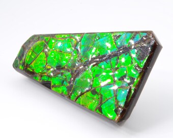 Canadese ammoliet 4,1 x 2,5 cm