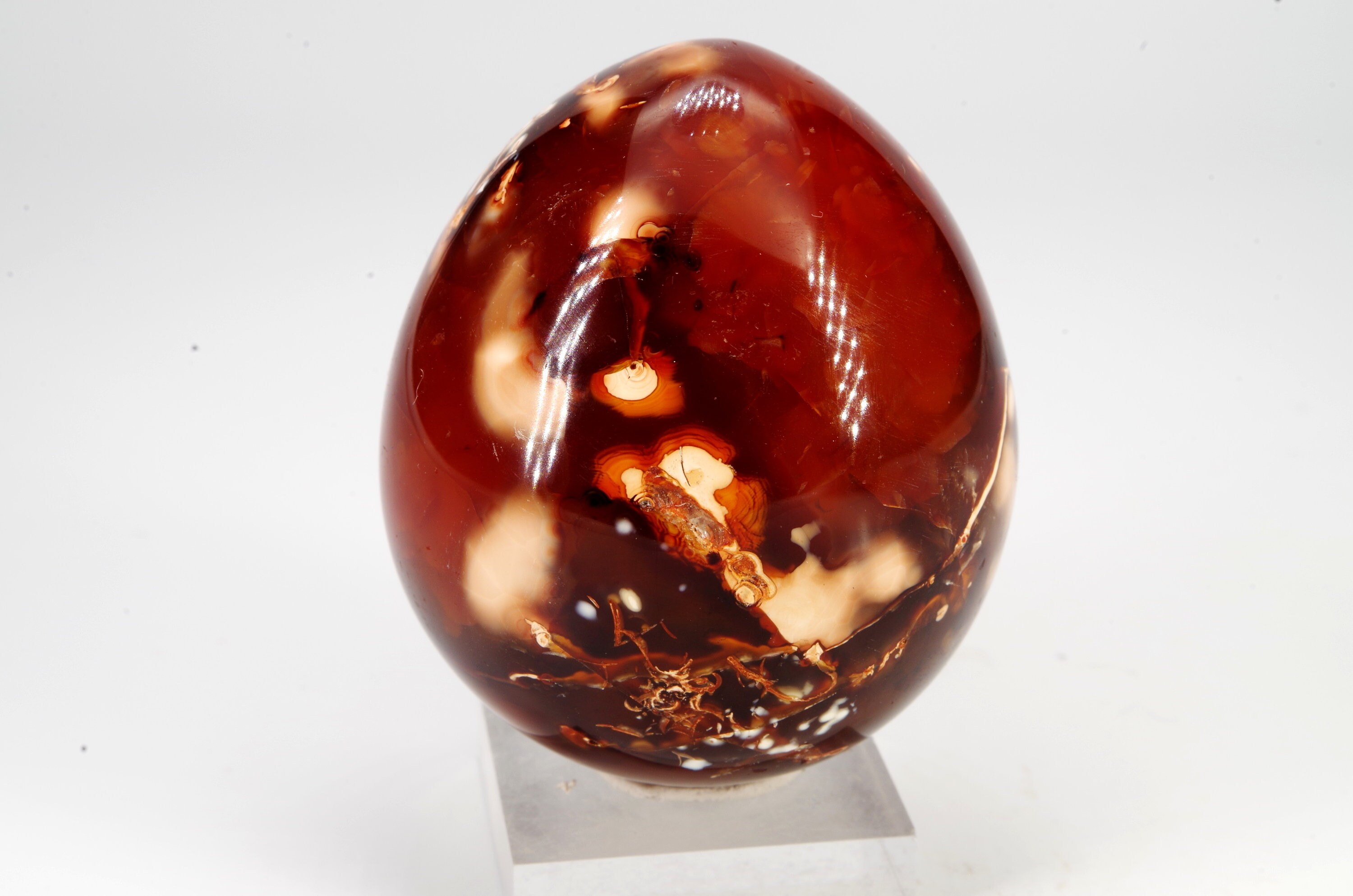 Œuf Cornaline Madagascar, 167 Gr/ 6x4.5 cm Circonférence 15 cm