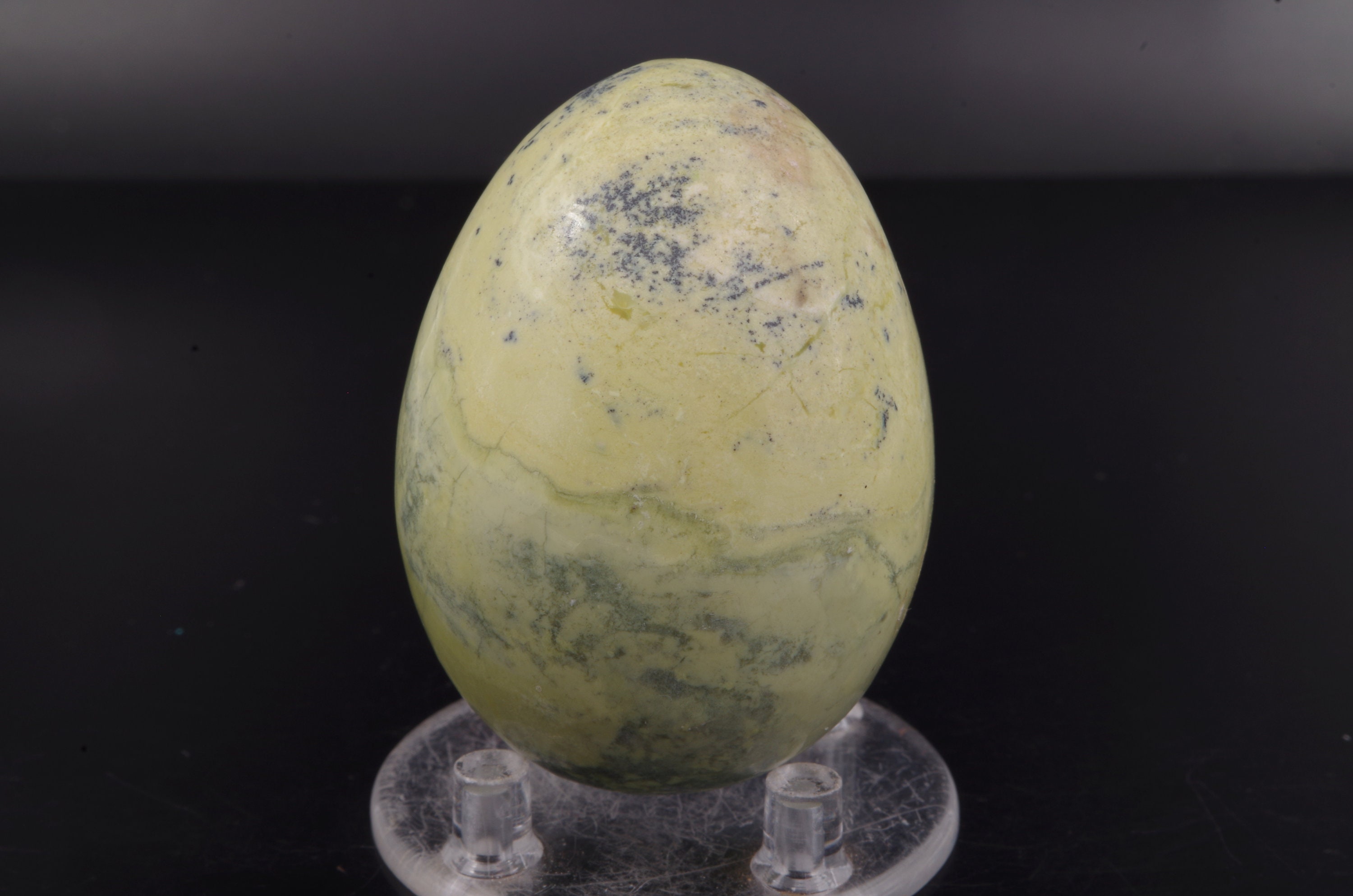 Œuf Serpentine 134 Gr