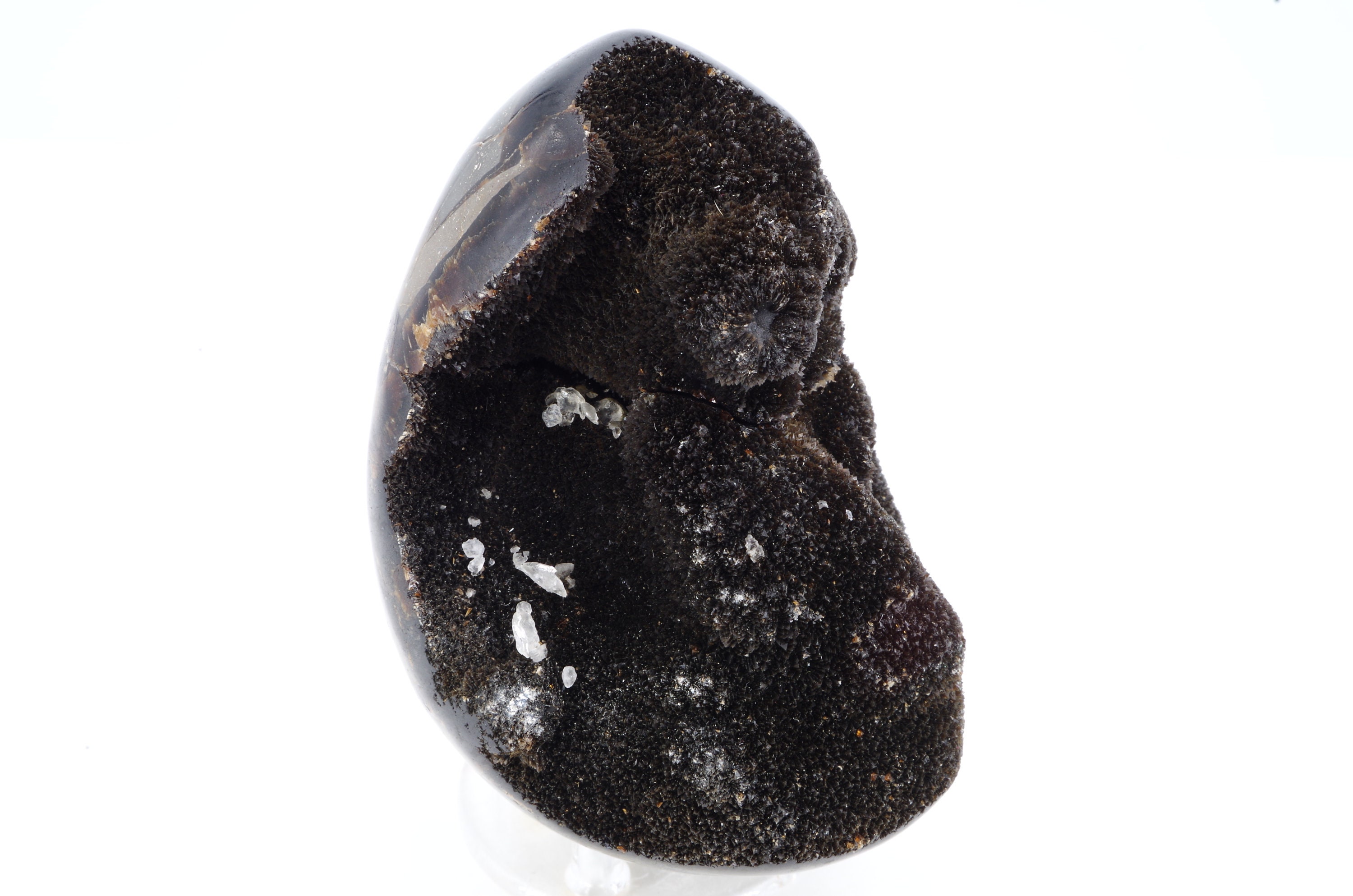 Oeuf Septaria Sauvage Madagascar 499 Gr