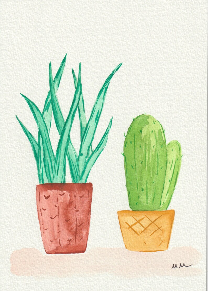 Succulents
