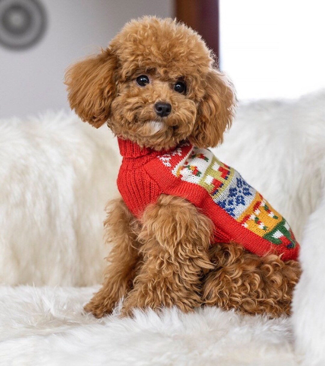 Weihnachten Hundepullover Hundepulli Alpacawolle Etsy.de