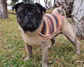 Alpaca Honey Stripes dog sweater