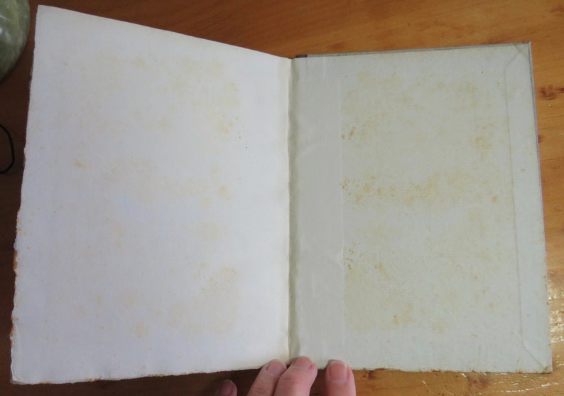 May include: An open book with blank pages. The pages are slightly yellowed with age. The book is bound in a plain, off-white cover.