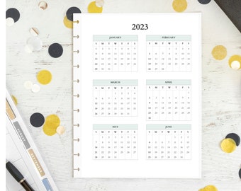 Yearly Calendar Planner Insert, Happy Planner Classic, Happy Planner Big, A5 Planner, Printable Planner Insert, Digital, Instant Download