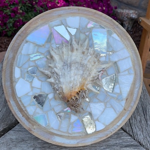 May include: A white seashell with a spiky texture is displayed on a round wooden tray with a white mosaic tile design.