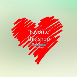 K&ouml;nnte beinhalten: Ein rotes Herz, das mit Linien gezeichnet ist, mit dem Text "Favorite" this shop und dem Namen "Claudia Sanchez Photography" in blauer Schrift.