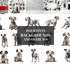 BUNDLE Dalmatian backgrounds and overlays, Dog Photography, beautiful dogs, PNG and JPG files