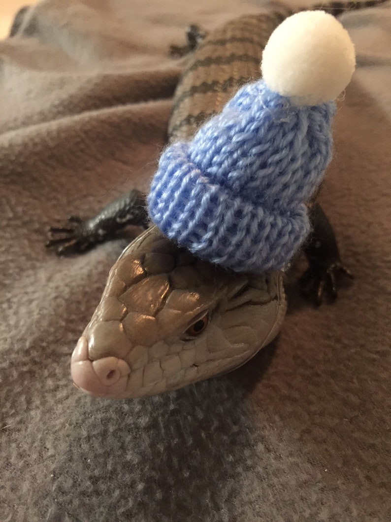 Knit hats for lizards/small pets Etsy