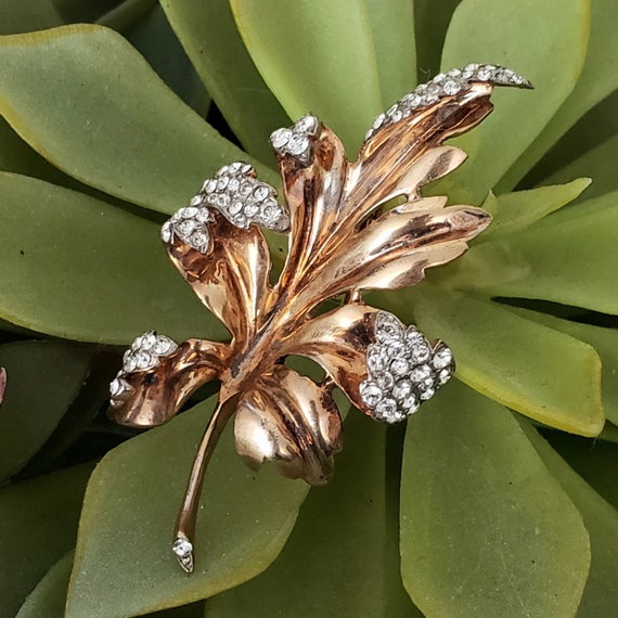 TRIFARI CURLING LEAF Fur Clip - Alfred Philippe Tr