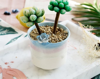 Bearie/'s Garden Gradient Rainbow Medium Ceramic Succulent Planter with Drainage Succulent Pot Tabletop Decor Indoor Decor