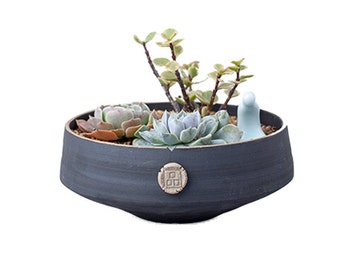 Bearie/'s Garden Gradient Rainbow Medium Ceramic Succulent Planter with Drainage Succulent Pot Tabletop Decor Indoor Decor