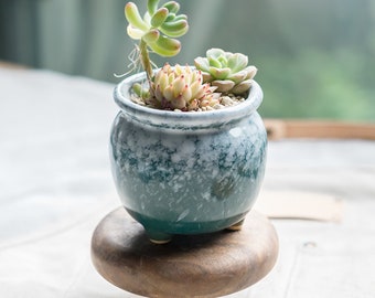 Bearie/'s Garden Gradient Rainbow Medium Ceramic Succulent Planter with Drainage Succulent Pot Tabletop Decor Indoor Decor