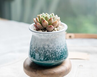Bearie/'s Garden Gradient Rainbow Medium Ceramic Succulent Planter with Drainage Succulent Pot Tabletop Decor Indoor Decor