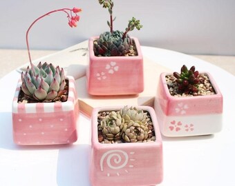 Bearie/'s Garden Gradient Rainbow Medium Ceramic Succulent Planter with Drainage Succulent Pot Tabletop Decor Indoor Decor