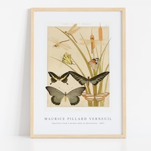 Maurice Pillard Verneuil Print Download Digital File - Papillons from L&#39;animal  (1897)  Wall Art, Frame TV Art Prints, Wall Decor, Download