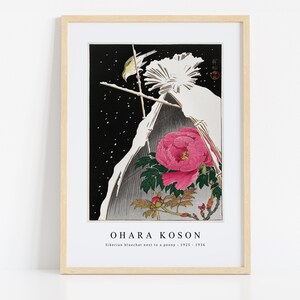 Ohara Koson Print Download Digital File - Siberian bluechat next to a peony 1925 - 1936 Wall Art, Frame TV Art Prints, Wall Decor, Download